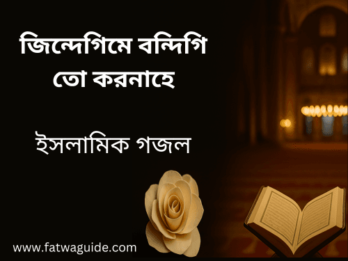 জিন্দেগিমে